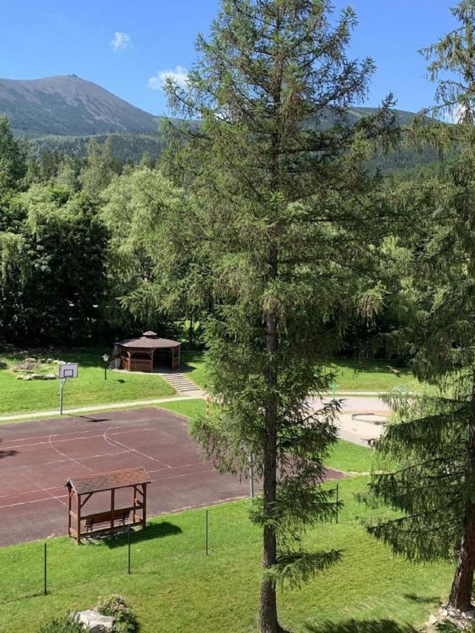 Wonder - Cud Malina Z Kominkiem, Klimatyzacja I Widokiem Na Karkonosze, Blisko Centrum, Stoku, Restauracji, Aquaparku Karpacz